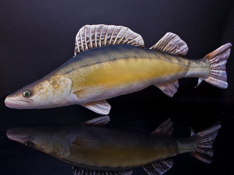 Gaby maskotka poduszka Sandacz 77cm