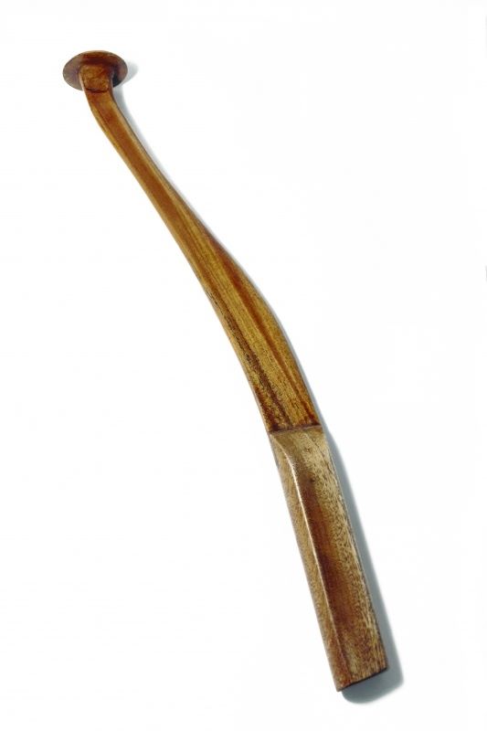 ZFish kwok Catfish Clonk - 40cm