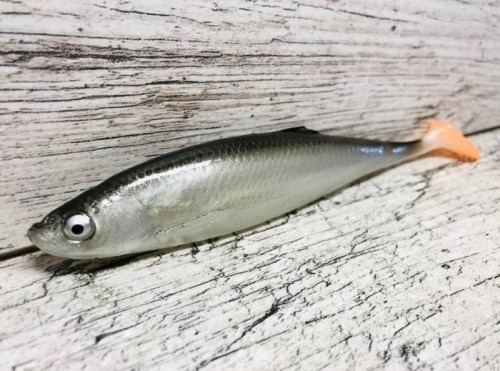 Sewro_przynta_Ukleja_czarna_16cm_kopyto