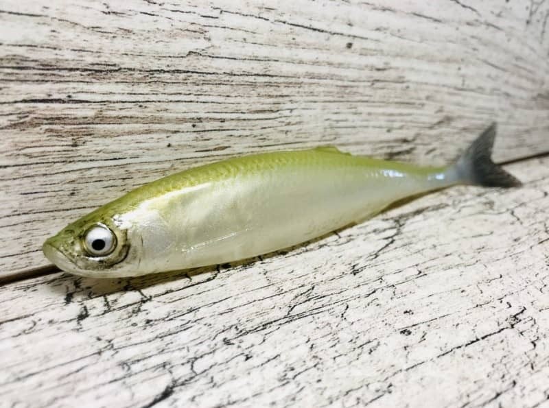 Sewro przynęta Ukleja Oliwka płetwa 16cm/21g - rękodzieło