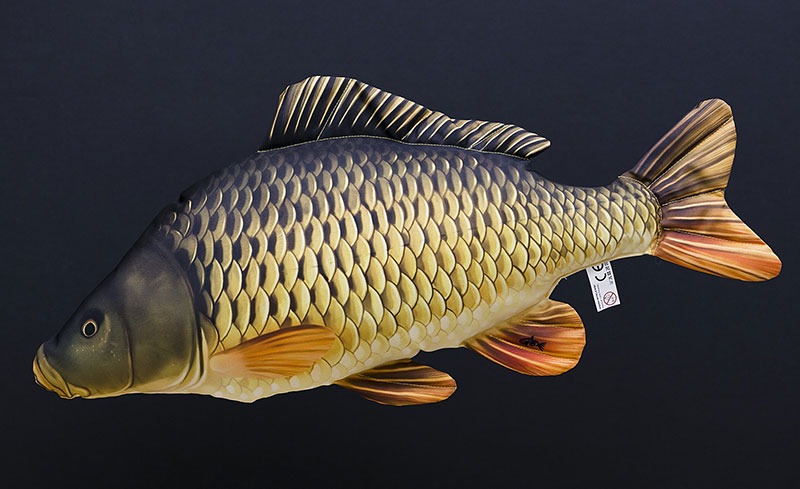 Gaby maskotka poduszka Karp Pełnołuski 64cm