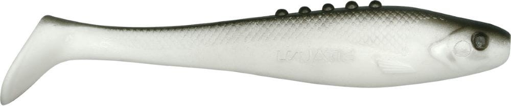 Dragon przynęta Lunatic 10cm/9g - LN40S-10-100