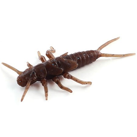 Fishup przynęta gumowa Stonefly 0,75" - #012-Chaos