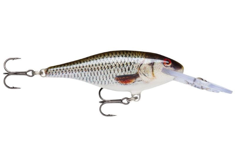 Rapala wobler Shad Rap FL - 9cm/16g - ROL