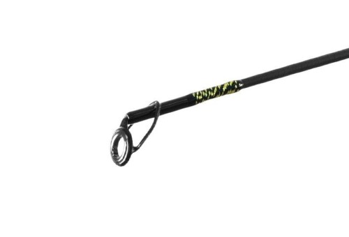 Delphin wędka Murena 2.jpg