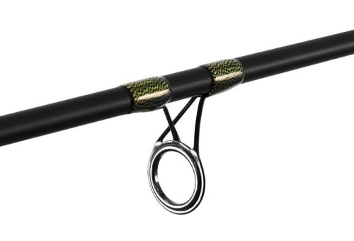 Delphin wędka Murena 3.jpg