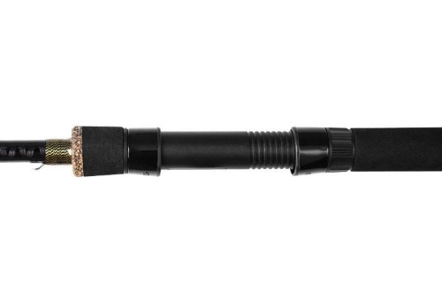 Delphin wędka Murena 4.jpg