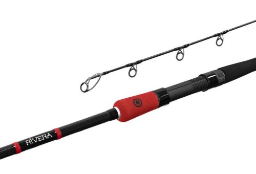 Delphin wędka Rivera.jpg