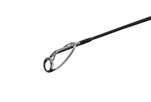 Delphin wędka Rivera 2.jpg