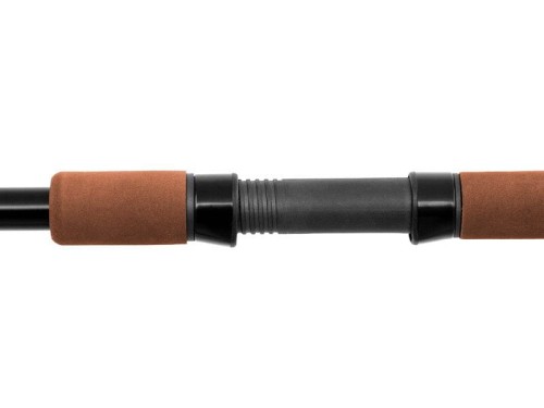 Delphin wędka Symbol Match 4.jpg