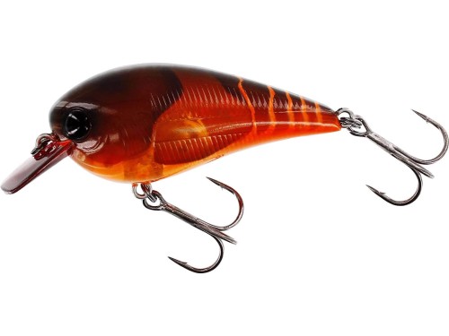 Westin wobler BassBite Squarebill - Fire craw - wędkarskie centrum krokodyl.jpg