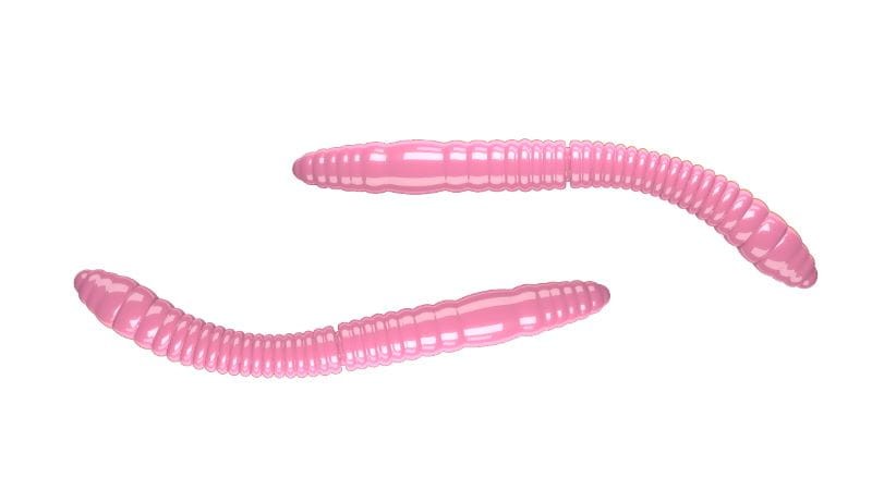 Libra Lures przynęta Fatty D'Worm Tournament 5,5cm 12szt. - bez zapachu - 017 Bubble Gum