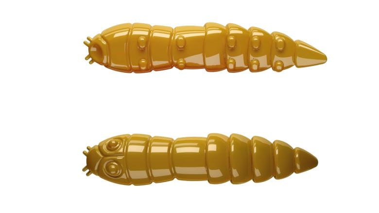 Libra Lures przynęta Kukolka 4,2cm 10szt. - bez zapachu - 036 Coffee Milk