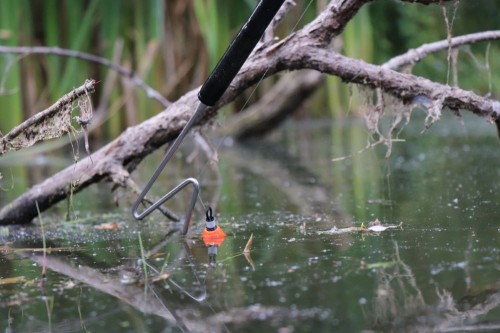 Carp Old School wyczepiacz Bolt - wędkarskie centrum krokodyl 2.jpg