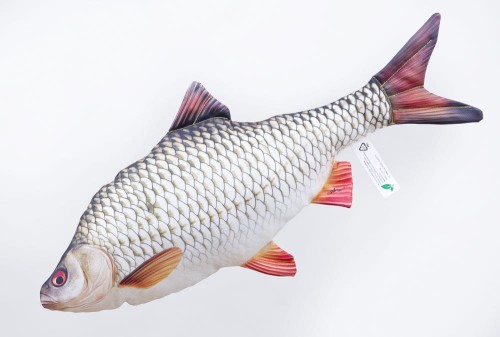 Gaby maskotka płoć - wędkarskie centrum krokodyl (2).jpg