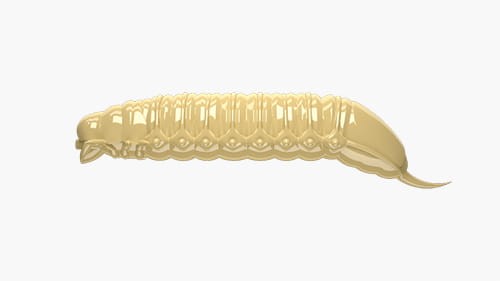 Libra Lures przynęta Goliath - 3cm 15szt. - bez zapachu - 005 Cheese