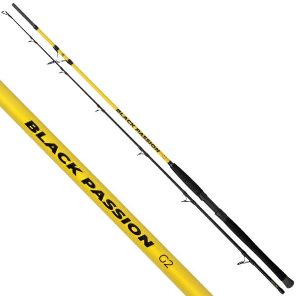 Black Cat wędka Black Passion G2 Spin - 2,70m/50-200g