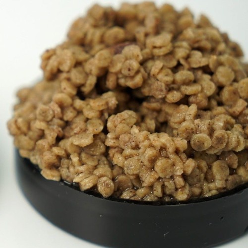 Osmo pellet Disc - wędkarskie centrum krokodyl 2.jpg