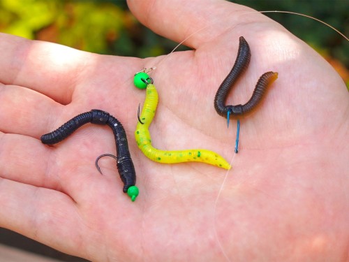 1440x1080_Dendrobaena_05wędkarskie centrum krokodyl3.jpg