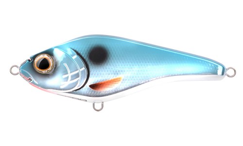 Colours_Short_The_Rapper_128_SLS_UV-Bluefish_04wędkarskiecentrumkrokodyl.jpg