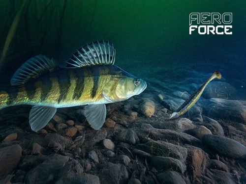 Delphin główka jigowa Standup Aeroforce 40 20g 5szt wedkarski sklep krokodyl3.jpg