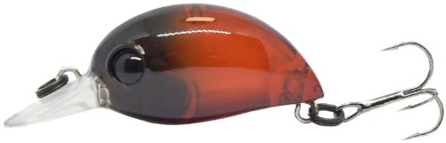 ZipBaits wobler Baby Hickory 25SR #557  wedkarski sklep krokodyl.jpg