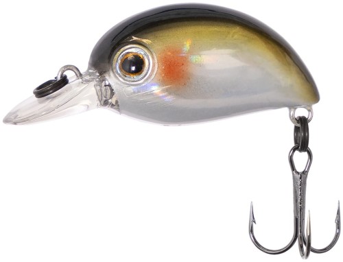 ZipBaits wobler Baby Hickory 25SR #300 wedkarski sklep krokodyl.jpg